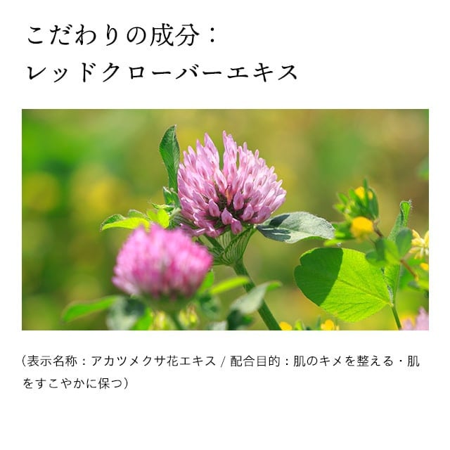 蜀肴丼鬢ィ陬ス阮ャ謇 繝峨Δ繝帙Ν繝ウ繝ェ繝ウ繧ッ繝ォ 豕。縺ョ譟碑l 繝代ャ繧ッ 80g