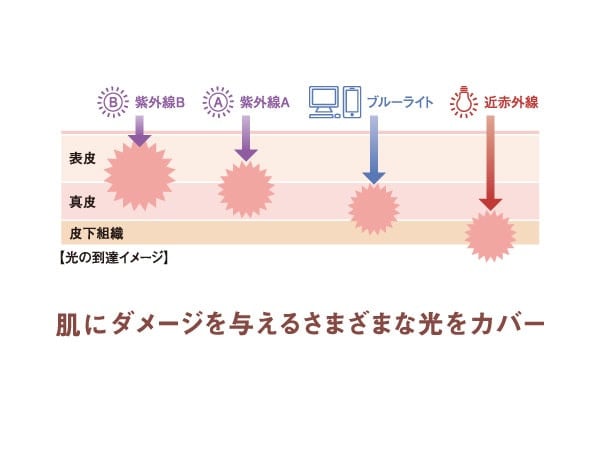 再春館製薬所 ドモホルンリンクル 光対策ドレス クリーム （日中クリーム）25g