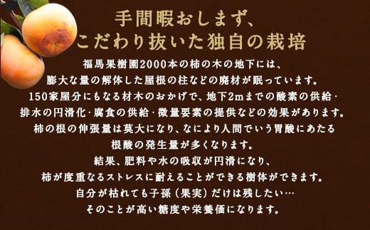 【2024年11月上旬～12月下旬発送予定】シンデレラ 太秋柿 木箱入り 大玉 3玉 約1kg