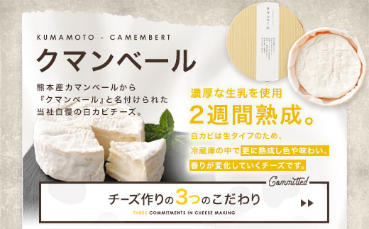 クマンベール 2個セット 300g（150g×2個）カマンベールチーズ 生乳 乳製品
