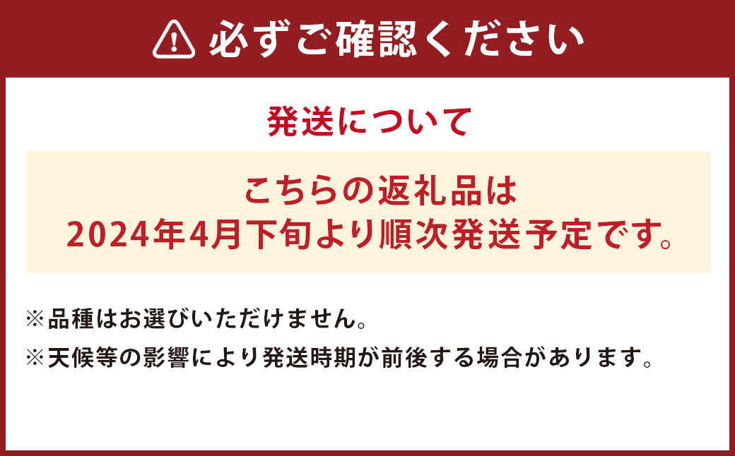 【2024年4月下旬発送開始】大玉 すいか 1玉 8kg 以上 西瓜 益城産