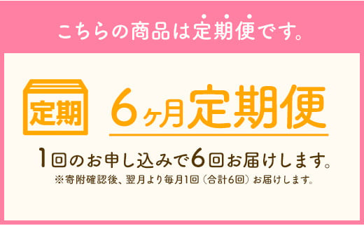 【6ヶ月定期便】一流パティシエが認める ホテル使用品 とろとろ マカロン 6種 セット 24個入（6種類×各4個）×6回お届け 合計144個【冷凍】