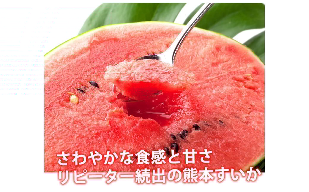 訳あり 小玉すいか 2玉 約2～3kg 送料無料 熊本すいか すいか 西瓜 ひとりじめ 果物 フルーツ 【2026年5月下旬～7月下旬発送予定】