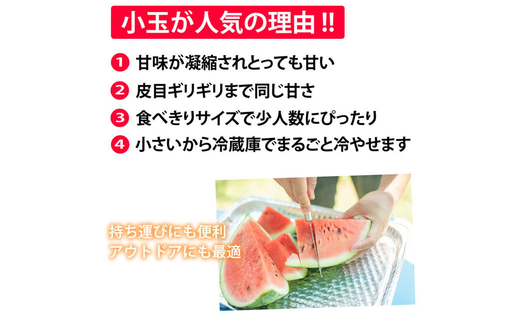 小玉すいか 秀品 2玉 約2～3kg 送料無料 スイカ すいか 益城町産 お取り寄せ お取り寄せグルメ 西瓜 フルーツ 【2025年5月下旬～7月下旬発送予定】