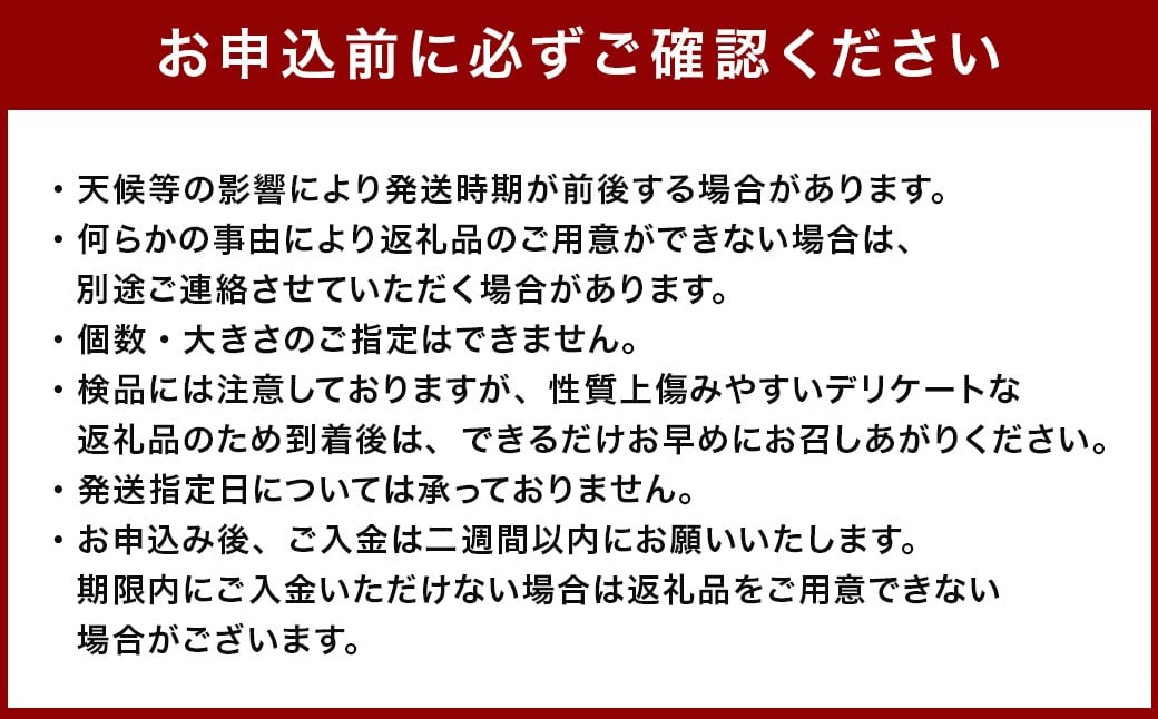 訳あり さつまいも 約5kg  サツマイモ さつまいも 芋 イモ 焼き芋 スイーツ 5kg 【2026年10月上旬～11月下旬発送予定】