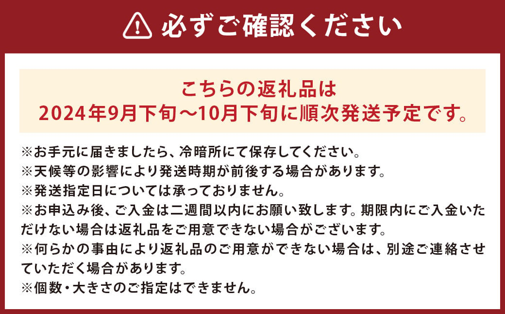 栗 生栗 約2kg（M～2L）約80～150個 くり クリ マロン フルーツ スイーツ 果物 ゆで栗 渋皮煮 栗ご飯 秋 旬 益城町産 【2024年9月下旬～10月下旬発送予定】