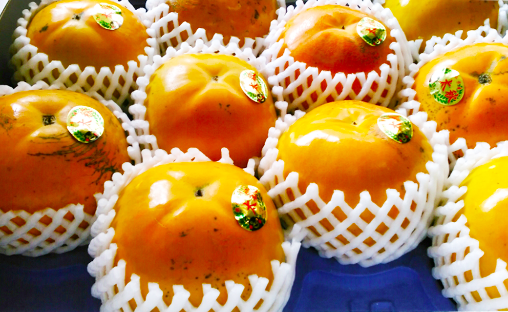 太秋柿 約3kg 8～16玉入り 柿 カキ 太秋 たいしゅう 【2025年10月上旬～11月上旬まで発送予定】