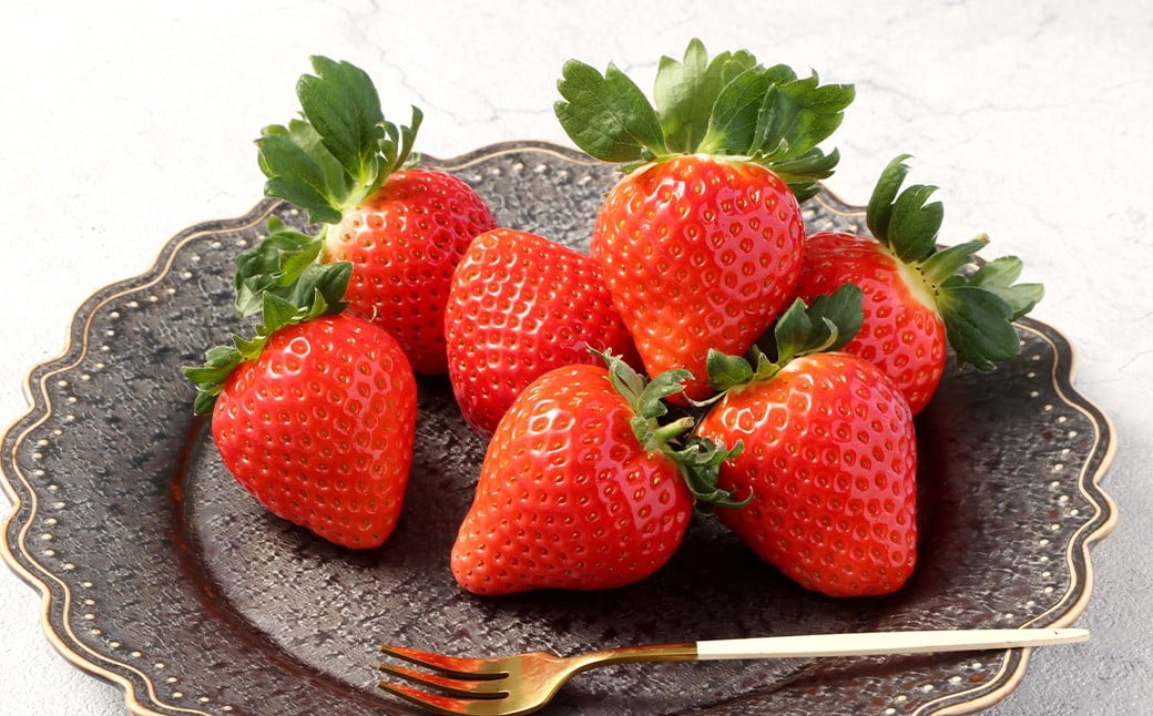 益城産 いちご 500g×1パック 贈答箱入り 【2026年1月上旬より順次発送】