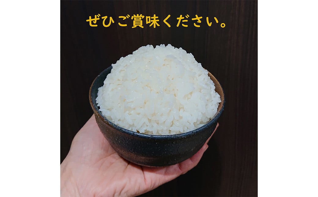 【令和7年産】 熊本県 益城町産 単一原料米 「ヒノヒカリ」 10kg（5kg×2袋） 【2026年9月下旬まで順次発送予定】