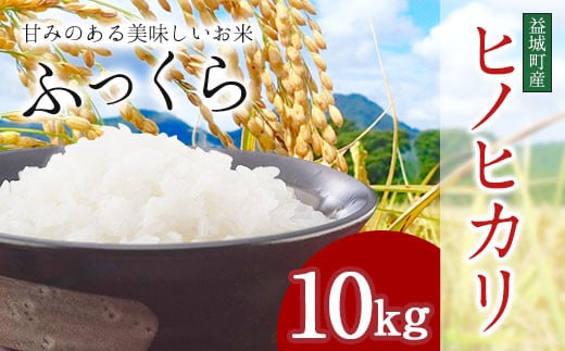 令和6年度産 熊本 益城町産 ヒノヒカリ 10kg お米