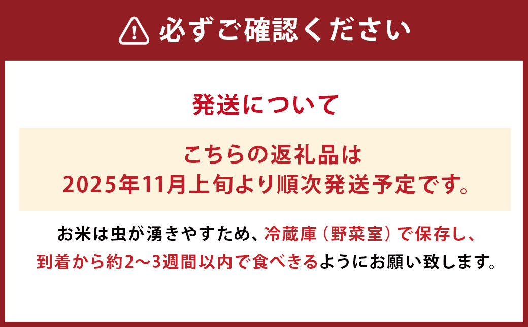 莉、蜥7蟷エ逕」 逶雁沁逕コ 邊セ邀ウ 譽ョ縺ョ縺上∪縺輔s 10kg 縺顔アウ 縲2025蟷エ11譛井ク頑流繧医j鬆谺。逋コ騾∽コ亥ョ壹