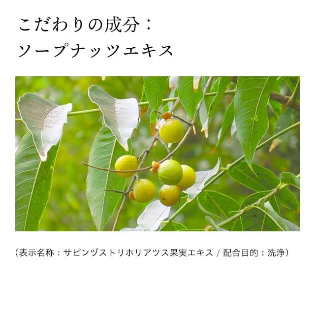 åæ¥é€šè£œè¬æ ãã¢ãã«ã³ãªã³ã¯ã« æŽé¡ ç³é¹ž 110g