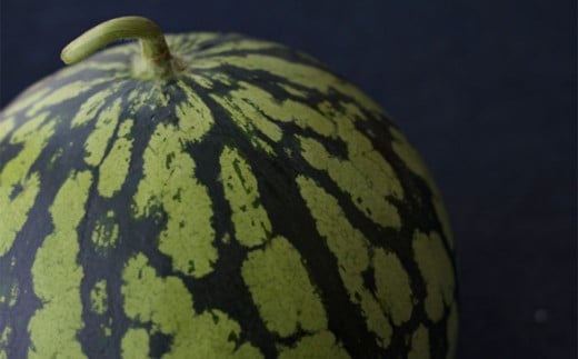 çæ¬ç çåçº ã¹ã€ã« ã ããã 2ç (2çÃ2L) èšçŽ14kg ã2026幎4æäžæ¬ïœ6æäžæ¬è¿çºéäºå®ã