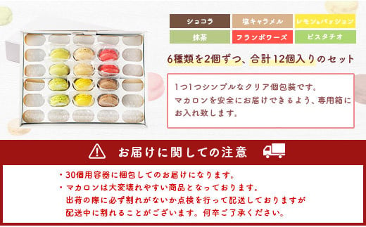 一流パティシエが認めるホテル使用品 お試し マカロン セット 12個（6種類×2個）冷凍 スイーツ デザート 洋菓子