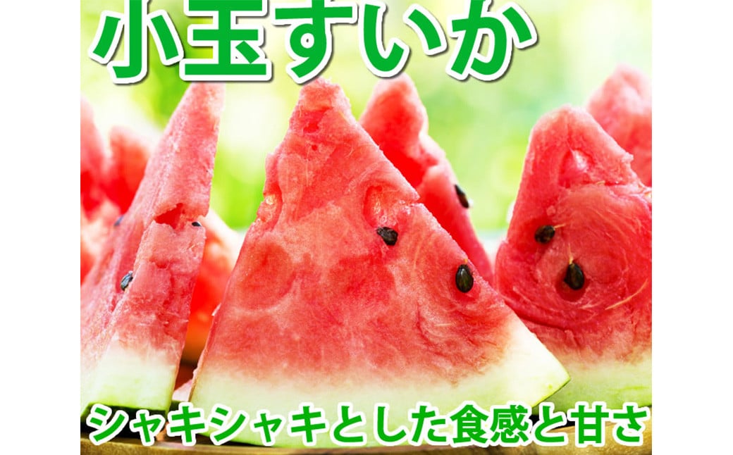 小玉すいか 秀品 2玉 約2～3kg 送料無料 スイカ すいか 益城町産 お取り寄せ お取り寄せグルメ 西瓜 フルーツ 【2026年5月下旬～7月下旬発送予定】