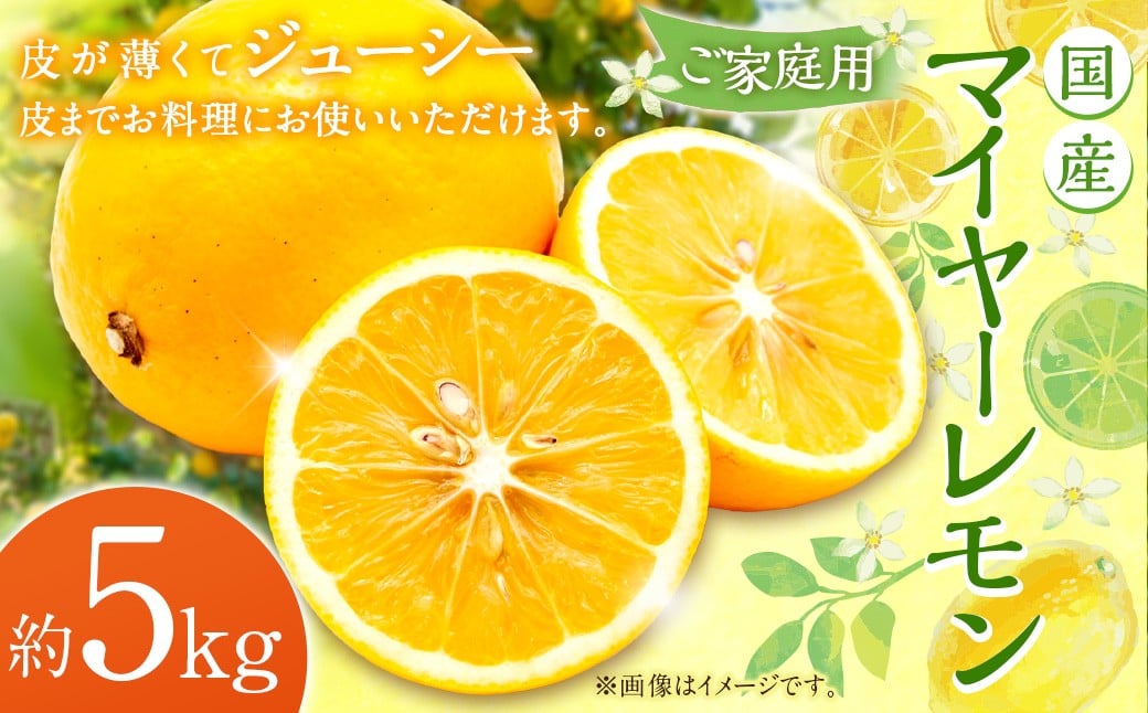 【ご家庭用】国産マイヤーレモン5kg レモン 檸檬 れもん 柑橘 くだもの 果物 フルーツ 果実 国産 熊本県 益城町