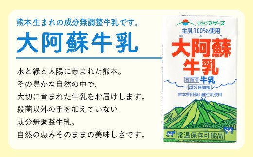 大阿蘇 牛乳 24本 250ml×24本 1ケース 生乳 成分無調整 