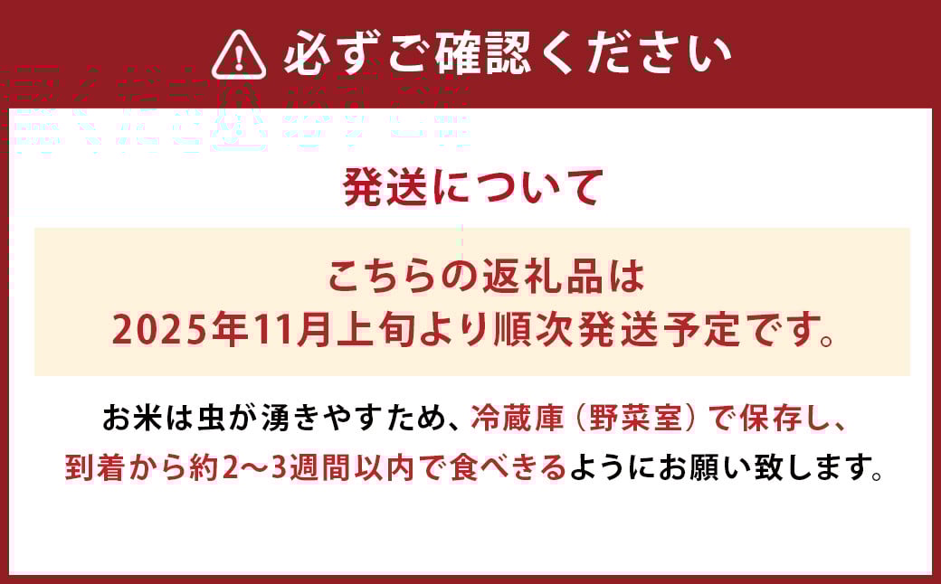 令和7年産 益城町 無洗米 森のくまさん 5kg お米 【2025年11月上旬より順次発送予定】