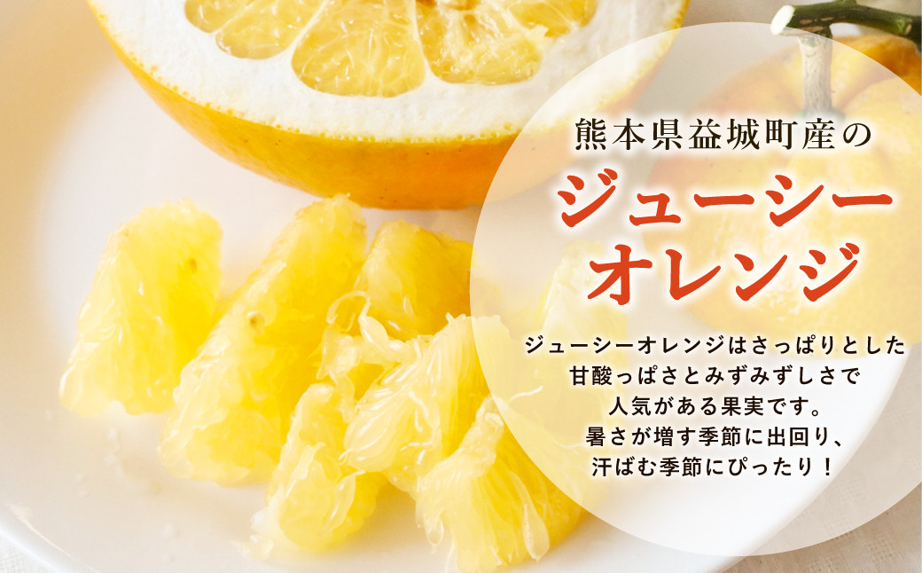 【2024年3月上旬発送開始】ジューシーオレンジ 約10kg 柑橘類 晩柑 熊本県産
