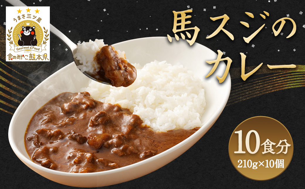 馬スジのカレー 10食 セット 210g×10 計2.1kg カレー
