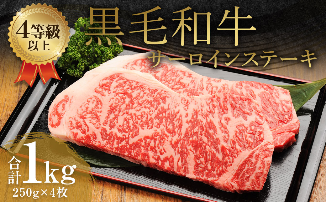 くまもと 黒毛和牛 サーロインステーキ 1.0kg（250g×4枚）牛肉 牛 肉