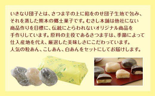 むさし本舗 熊本 いきなり団子 ミックス 15個セット さつま芋 サツマイモ 団子 郷土料理