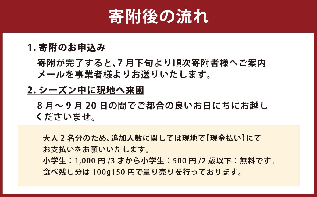 ぶどう狩り体験チケット （ 大人2名様分 ） お土産付き 【2026年8月5日までお申込み可】 【2026年7月下旬～8月下旬ご案内予定】 収穫 試食 自然 家族連れ 観光 体験チケット 体験 経験 チケット ぶどう狩り ぶどう ブドウ 葡萄 時間無制限 無制限