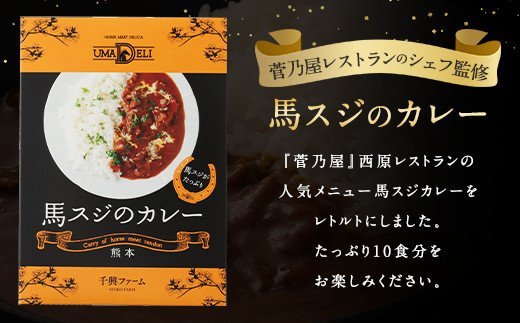 馬スジのカレー 10食 セット 210g×10 計2.1kg カレー