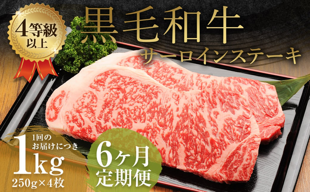 【6ヶ月定期便】くまもと黒毛和牛サーロインステーキ 1.0kg（250g×4枚）牛肉 牛 肉