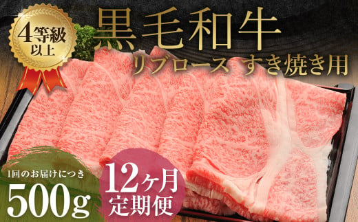 【12ヶ月定期便】くまもと黒毛和牛 リブロース すき焼き用 500g 牛肉 牛 肉