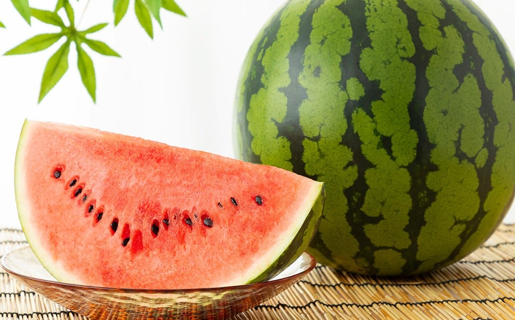 小玉すいか 3～5玉入り M～3Lサイズ 約4.5kg 小玉スイカ こだますいか こだまスイカ 小玉 すいか スイカ 西瓜 フルーツ 果物 くだもの 常温 熊本県 益城町 【2026年4月下旬～8上旬発送予定】