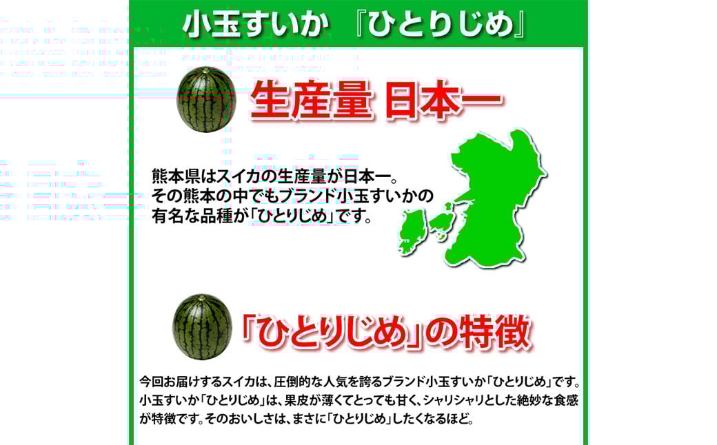 小玉すいか 秀品 2玉 約2～3kg 送料無料 スイカ すいか 益城町産 お取り寄せ お取り寄せグルメ 西瓜 フルーツ 【2026年5月下旬～7月下旬発送予定】