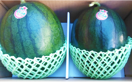 å°ç ããã 2ç å
¥ã 1ç1.5kg ä»¥äž è¥¿çã2026幎5æäžæ¬ïœ6æäžæ¬çºéäºå®ã