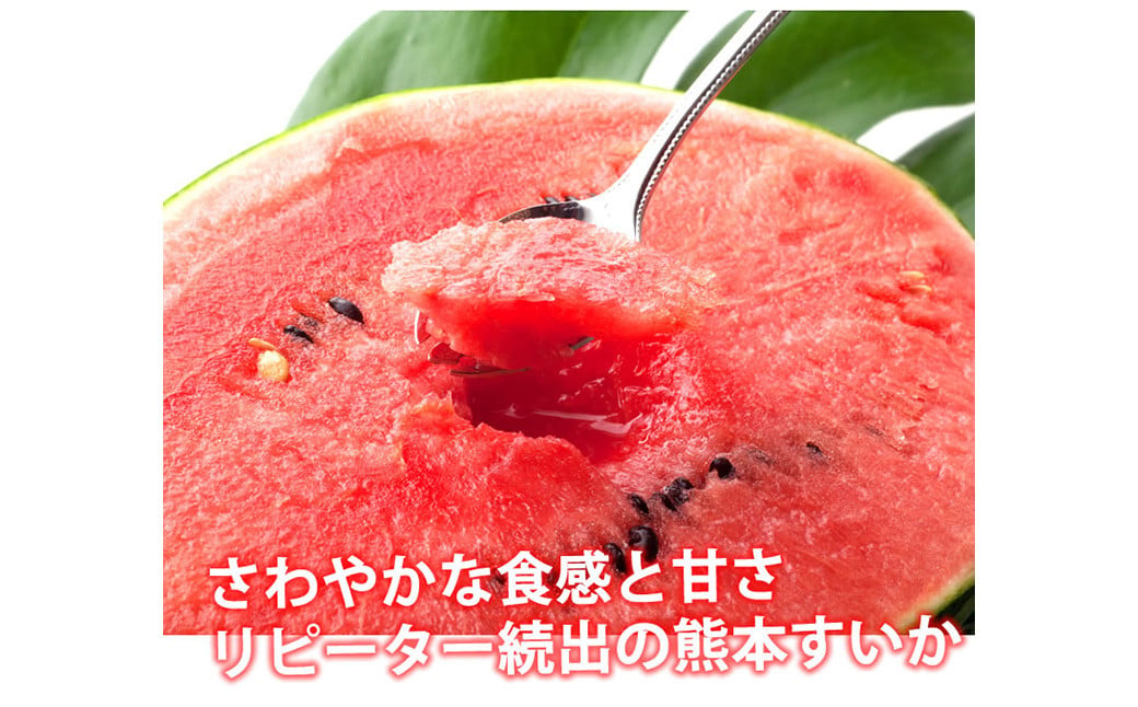 訳あり 大玉すいか 1玉 約6kg〜9kg 送料無料 スイカ すいか 益城町産 お取り寄せ お取り寄せグルメ 西瓜 フルーツ 【2026年5月下旬～7月下旬発送予定】