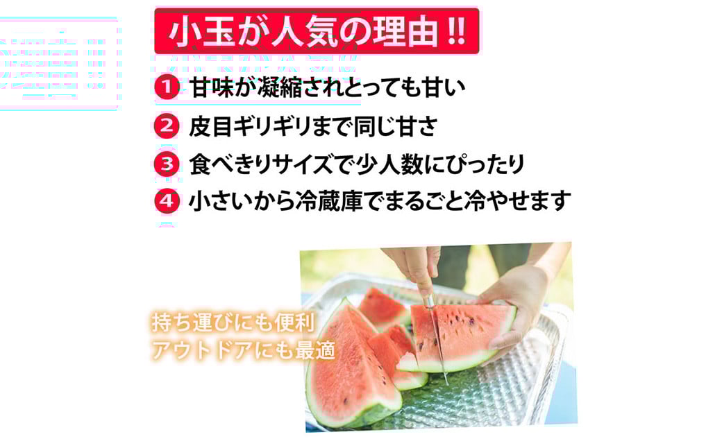 小玉すいか 秀品 2玉 約2～3kg 送料無料 スイカ すいか 益城町産 お取り寄せ お取り寄せグルメ 西瓜 フルーツ 【2026年5月下旬～7月下旬発送予定】
