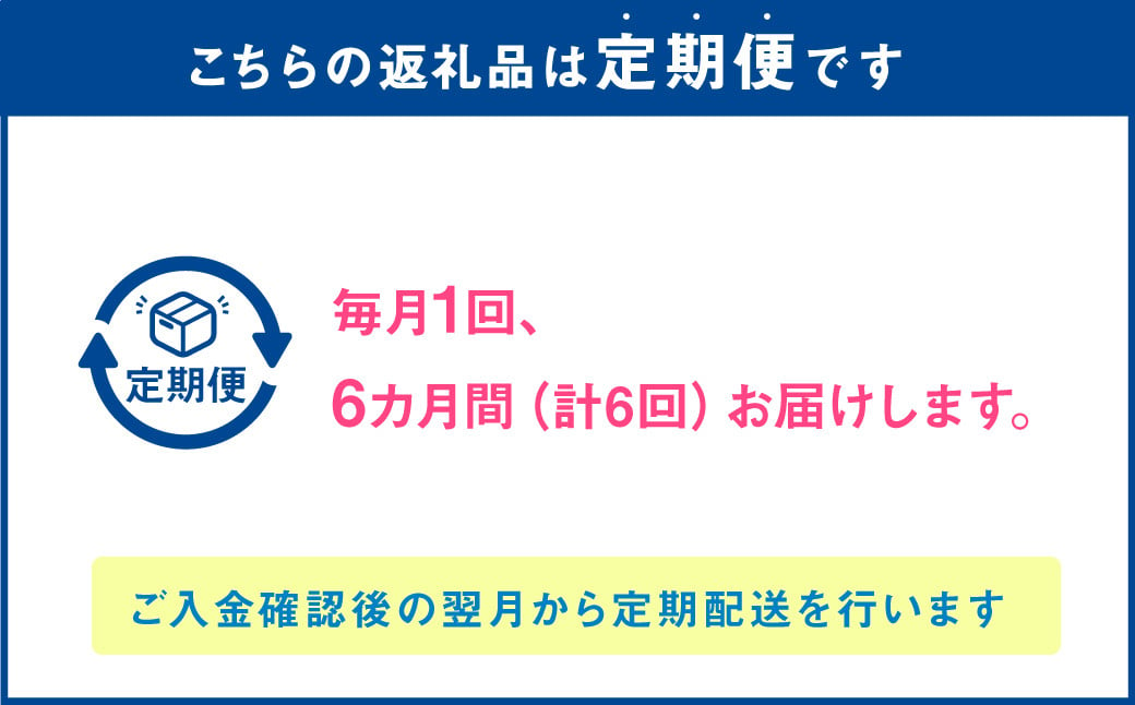 C39Z6【定期便6回】 馬肉ハンバーグ 約150g×10個 合計約9kg 馬肉100% ハンバーグ 熊本 冷凍 馬肉 馬 肉 惣菜 おかず