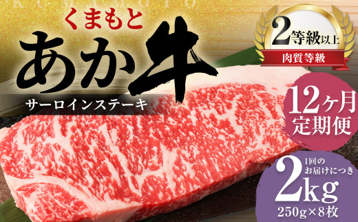 【12ヶ月定期便】くまもとあか牛 サーロイン 2.0kg（250g×8枚） 牛肉 牛 肉