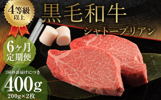 【6ヶ月定期便】くまもと黒毛和牛 シャトーブリアン 400g（200g×2枚） 牛肉 牛 肉