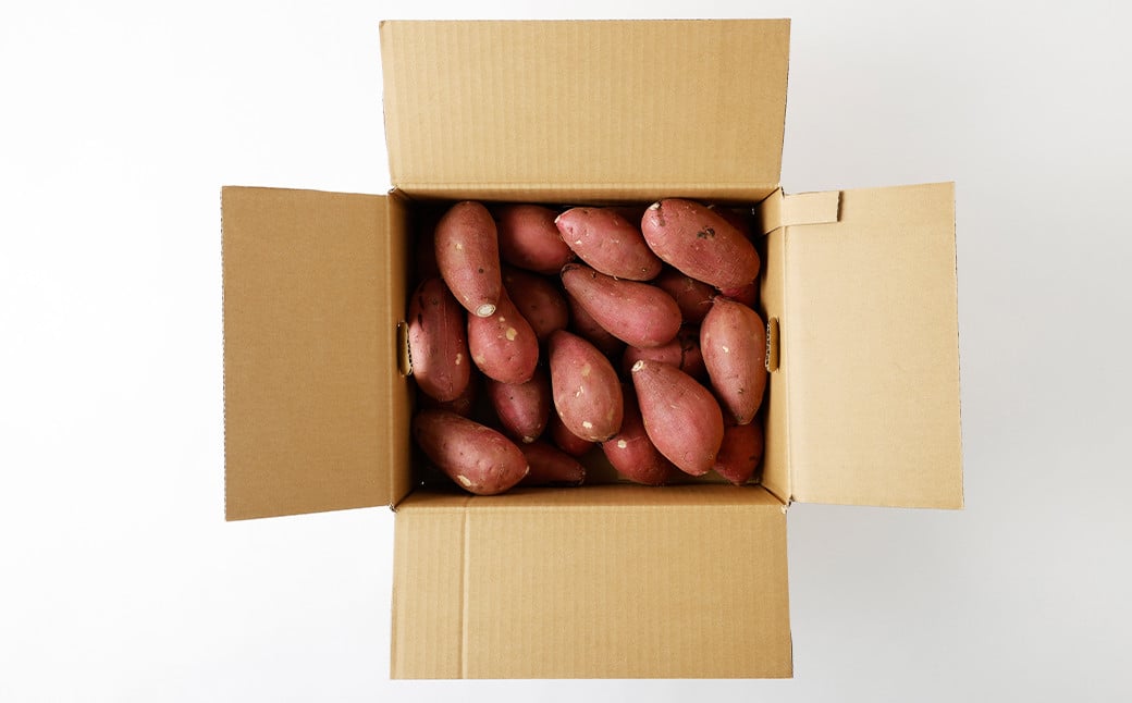 紅はるか 約5kg サツマイモ さつま芋 芋 野菜 いも 熊本県産 【2024年9月上旬-2025年7月上旬発送予定】