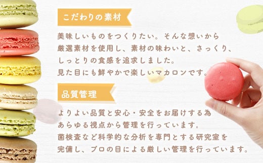 【2025年2月発送】 一流パティシエが認めるホテル使用品 お試し マカロン セット 12個（6種類×2個）冷凍 スイーツ デザート 洋菓子