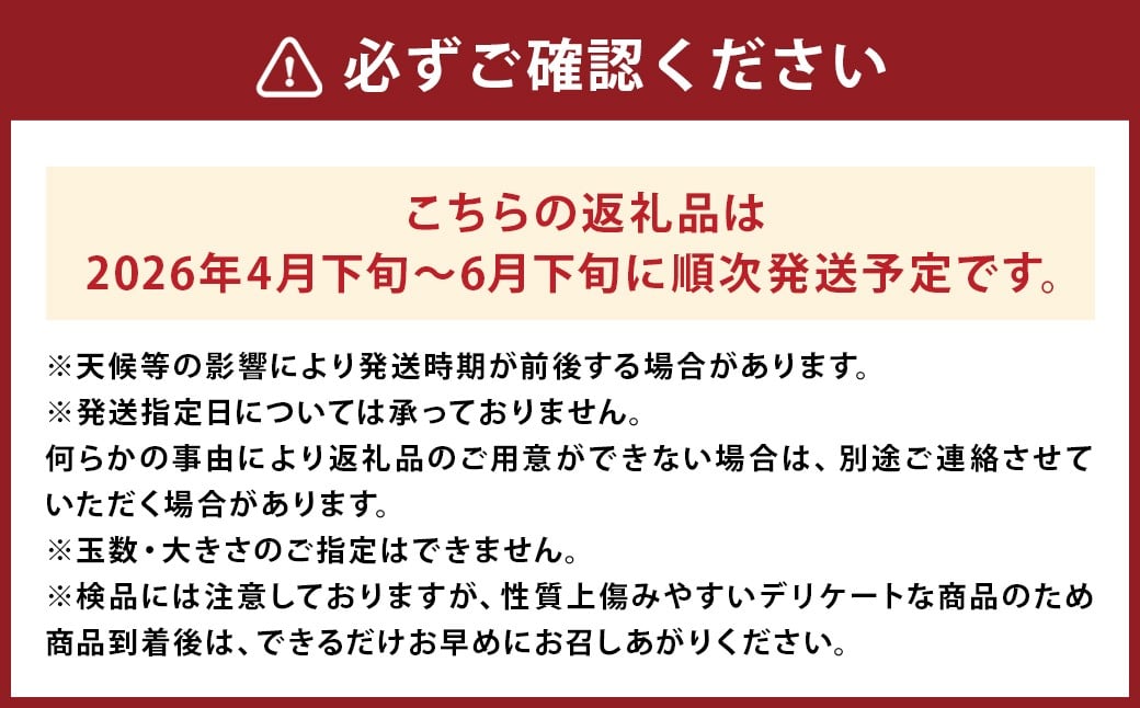 熊本県 益城町 スイカ 肥後漫遊 2L 1玉  約7kg 【2026年4月下旬～6月下旬迄発送予定】