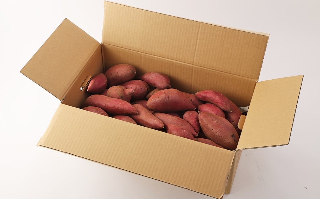 辭頑悽逵檎肇 邏縺ッ繧九° 邏5kg 縺ケ縺ォ縺ッ繧九° 縺輔▽縺セ縺繧 繧オ繝繝槭う繝「 縺輔▽縺セ闃 縺願葛 闃 縲2026蟷エ3譛井ク区流縺セ縺ァ逋コ騾∽コ亥ョ壹