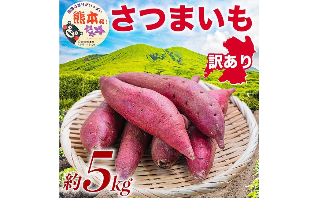 訳あり さつまいも 約5kg  サツマイモ さつまいも 芋 イモ 焼き芋 スイーツ 5kg 【2026年10月上旬～11月下旬発送予定】