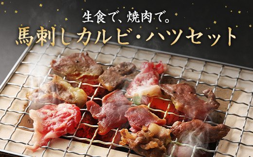 生でも焼きでもOK！馬刺し カルビ / 心臓 (ハツ) 切り落とし 約600g 馬肉 馬刺し