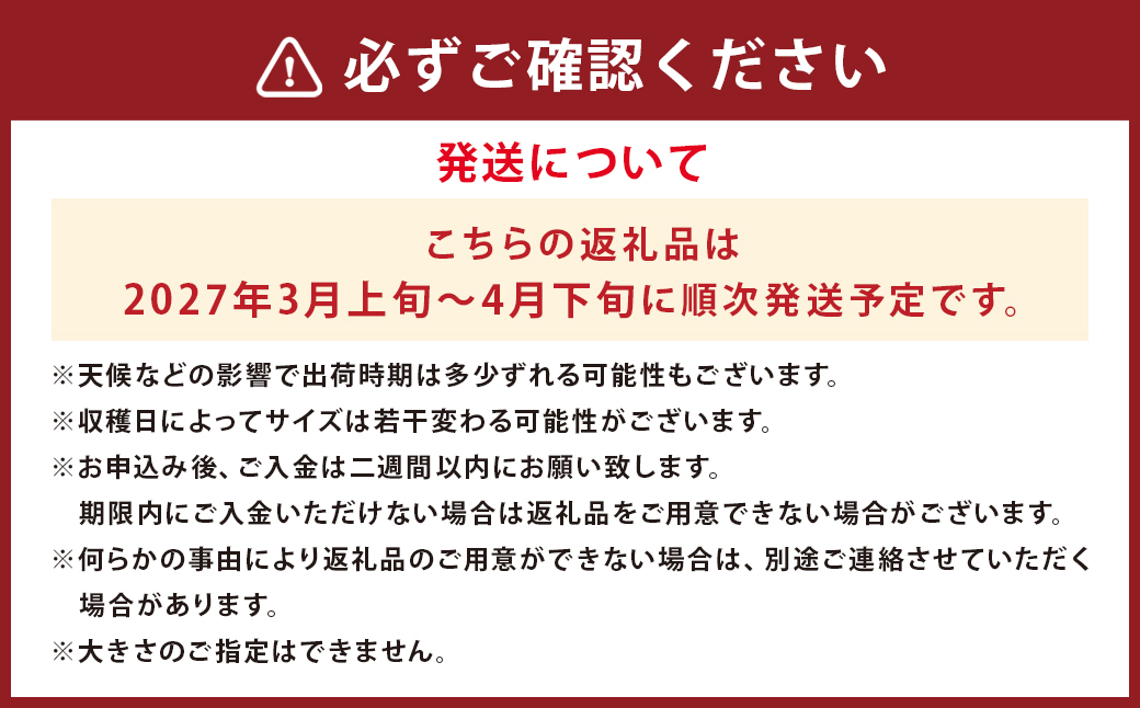 【数量限定】朝堀り 筍 4kg 熊本県産米（約500g）付き【2027年3月上旬～4月下旬迄発送予定】