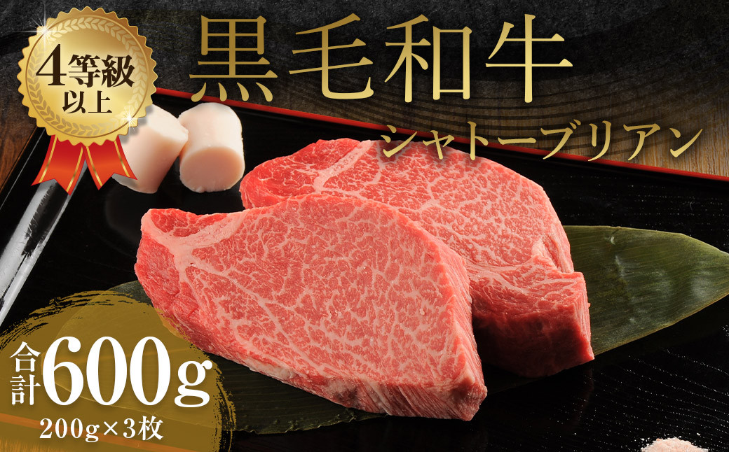 くまもと 黒毛和牛 シャトーブリアン 600g（200g×3枚）牛肉 牛 肉