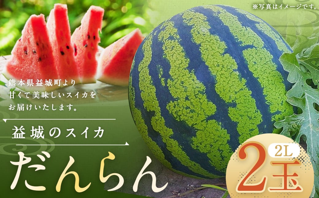 熊本県 益城町 スイカ だんらん 2玉  (2玉×2L) 計約14kg 【2026年4月下旬～6月下旬迄発送予定】