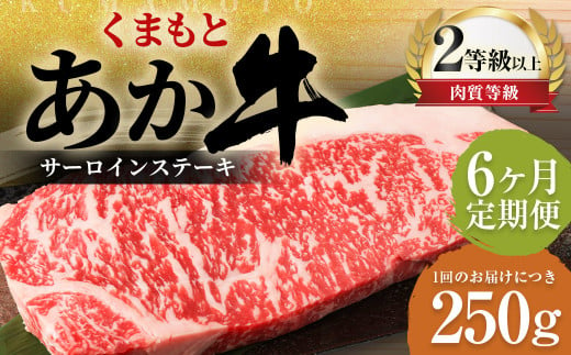 【6ヶ月定期便】くまもとあか牛サーロイン 250g×1枚 牛肉 牛 肉