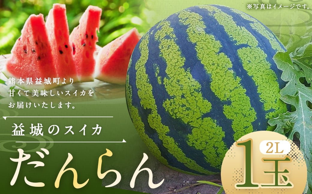 熊本県 益城町 スイカ だんらん 2L 1玉  約7kg 【2026年4月下旬～6月下旬迄発送予定】