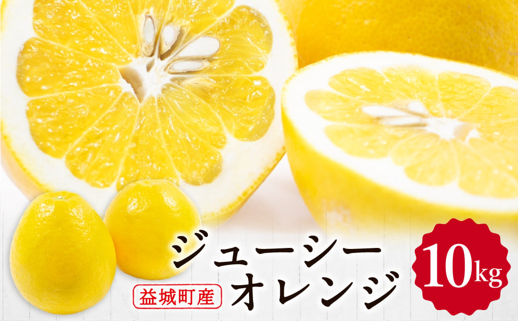 【2024年3月上旬発送開始】ジューシーオレンジ 約10kg 柑橘類 晩柑 熊本県産